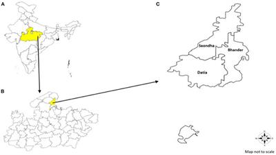 Profile of diseases prevalent in Datia District of Madhya Pradesh, India